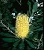 clip_image002_0000.jpg