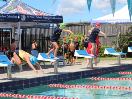 students diving into pool