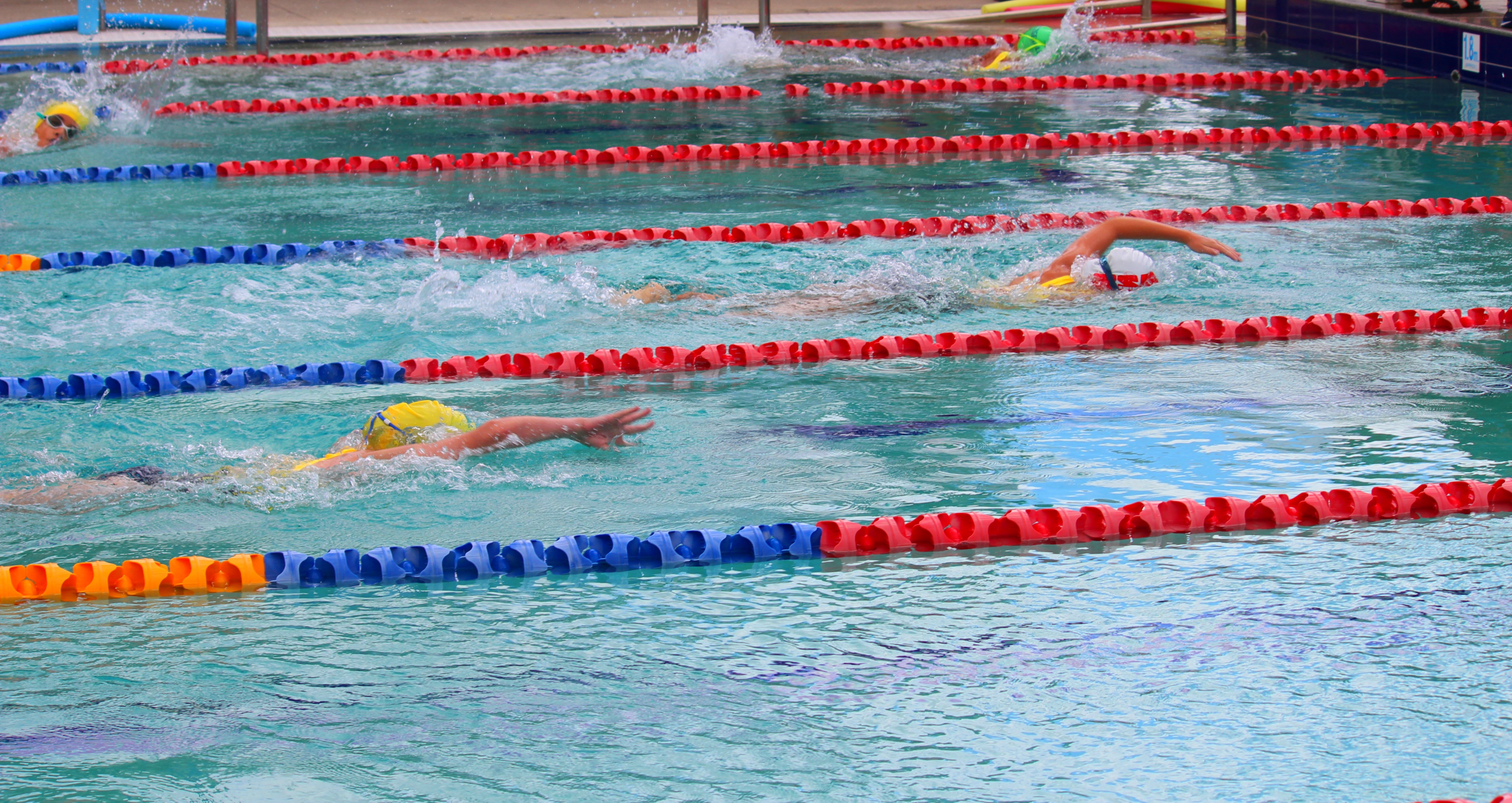 Swimmers racing in marked lanes of an outdoor pool